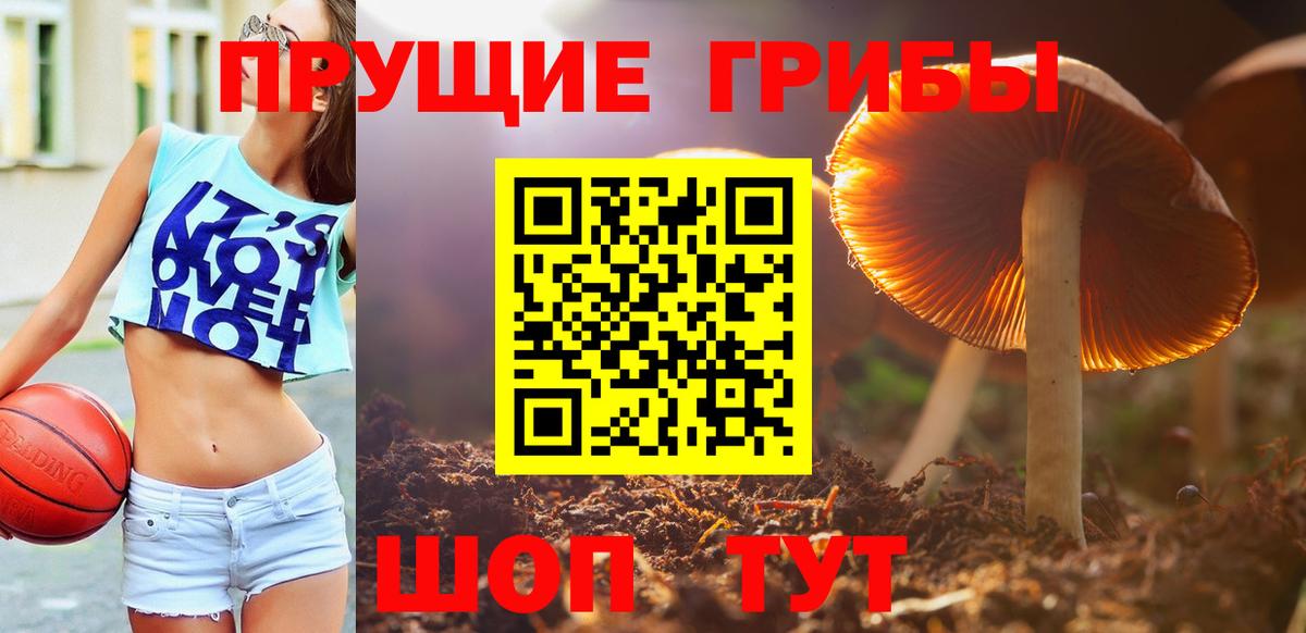Галлюциногенные грибы Cubensis  Вход с VPN  Галлюциногенные грибы Magic Shrooms  Мурманск 